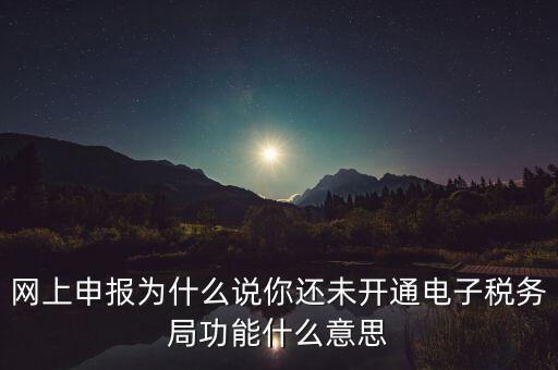 電子稅務(wù)局是干什么，企業(yè)金稅盤系統(tǒng)用來開票抄稅報稅用那登錄國稅地稅局網(wǎng)站是干嘛的