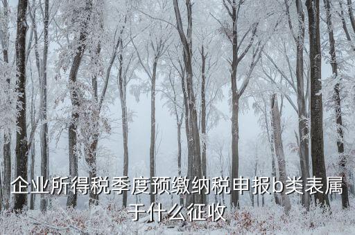 所得稅b類按什么征收，企業(yè)所得稅季度預(yù)繳納稅申報(bào)b類表屬于什么征收