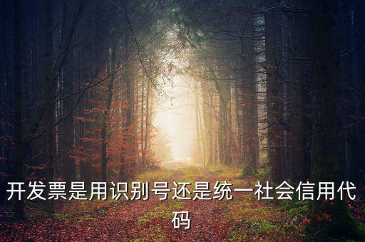 發(fā)票填寫統(tǒng)一社會代碼是什么，開發(fā)票要的稅號是統(tǒng)一社會代碼證號嗎
