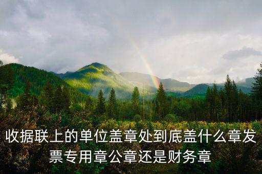 收據(jù)聯(lián)上的單位蓋章處到底蓋什么章發(fā)票專(zhuān)用章公章還是財(cái)務(wù)章