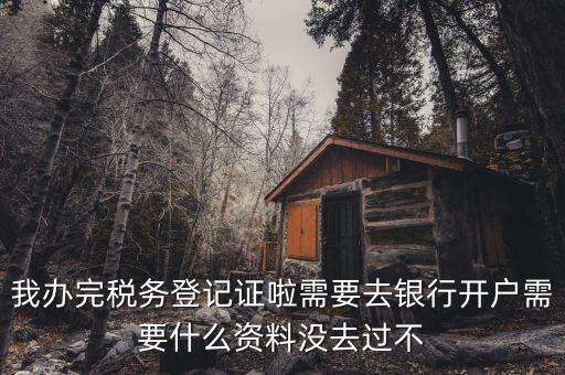 稅務(wù)登記以后需要什么資料，辦理稅務(wù)登記證都需要提供什么資料