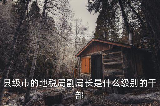 地稅局副局什么級別，縣級市的地稅局副局長是什么級別的干部