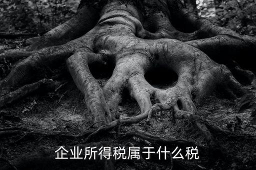 企業(yè)所得稅是什么稅，所得稅包括什么稅