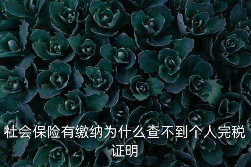 為什么查不到納稅記錄，社會保險有繳納為什么查不到個人完稅證明