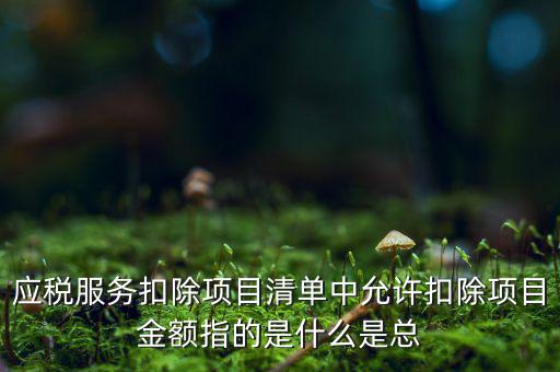 應(yīng)稅服務(wù)扣除項目清單中允許扣除項目金額指的是什么是總