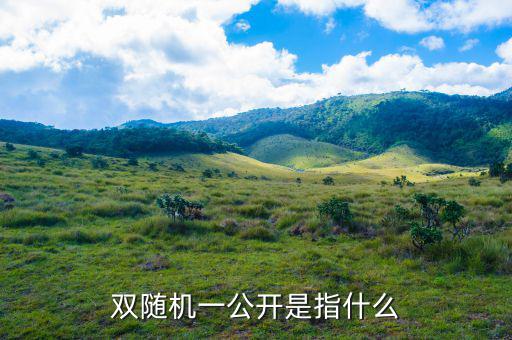 稅務(wù)雙隨機(jī)一公開(kāi)是什么意思，雙隨機(jī)一公開(kāi)屬于什么用語(yǔ)比如習(xí)語(yǔ)標(biāo)語(yǔ)或者成語(yǔ)之類的因?yàn)?/></a></span><span id=