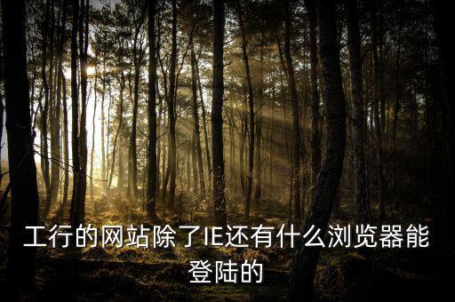 開票登陸的瀏覽器是什么，工行的網(wǎng)站除了IE還有什么瀏覽器能登陸的