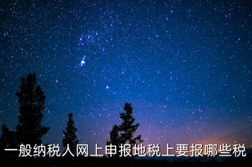 地稅都申報(bào)什么，一般納稅人網(wǎng)上申報(bào)地稅上要報(bào)哪些稅