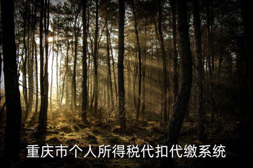 重慶網(wǎng)上繳稅什么網(wǎng)址，重慶市國(guó)稅網(wǎng)網(wǎng)址是多少