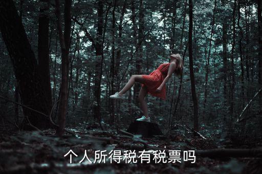 個人所得稅是什么發(fā)票，個人所得稅有稅票嗎