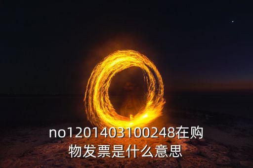 湖南發(fā)票號(hào)碼是什么意思，發(fā)票參考號(hào)是什么意思