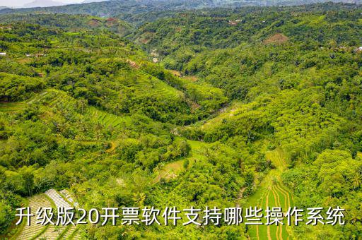 開票軟件適用什么系統(tǒng)，有沒有適合電商用的發(fā)票處理系統(tǒng)