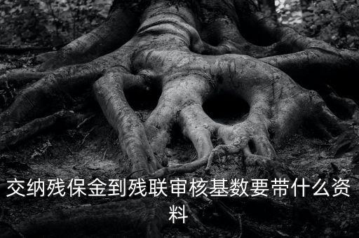 去稅務(wù)申報(bào)殘保金帶什么資料，去地稅交殘疾人保障金需要什么資料