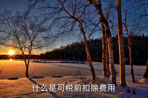 可扣除的稅款是什么，企業(yè)所得稅中可在所得稅前扣除的稅金包括