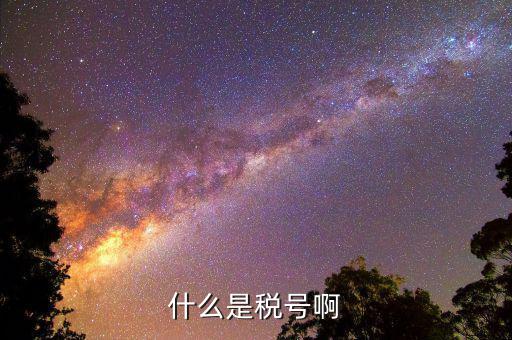 公司稅號是什么，公司的稅號一般有多少位