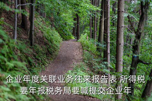 國稅關(guān)聯(lián)表是什么意思，所得稅中關(guān)聯(lián)關(guān)系是什么意思