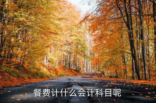 餐費(fèi)計什么會計科目呢