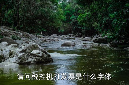 發(fā)票用什么字體，請問稅控機(jī)打發(fā)票是什么字體