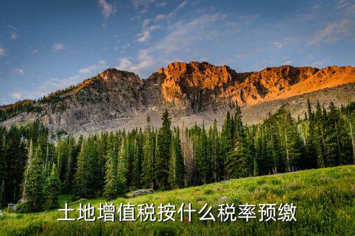 山東省土地增值稅按什么預(yù)繳，山東文登市土地增值稅預(yù)繳稅率是多少