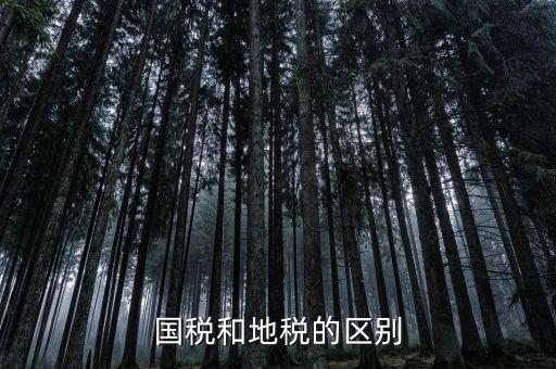 稅務(wù)和地稅什么區(qū)別，國稅和地稅的區(qū)別