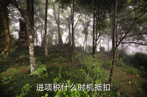 認證的進項稅什么時候抵扣，進項稅什么時機抵扣