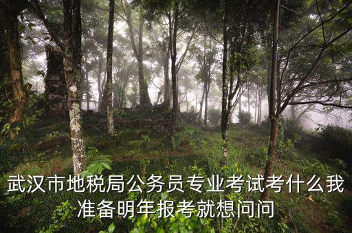 省地稅局復試考什么，武漢市地稅局公務員專業(yè)考試考什么我準備明年報考就想問問