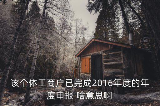 個體戶申報是什么意思，該個體工商戶已完成2016年度的年度申報 啥意思啊