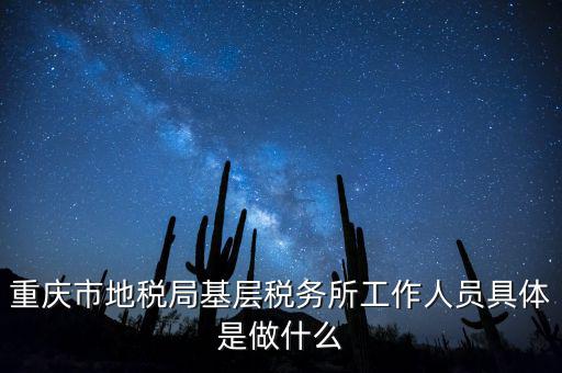 重慶地稅局前臺(tái)做什么的，重慶市地稅局基層稅務(wù)所工作人員具體是做什么
