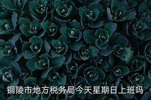 銅陵地稅局在什么地方，銅陵市地方稅務(wù)局今天星期日上班嗎