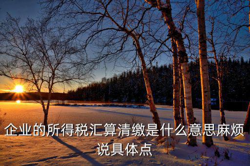 年度匯算清繳什么意思，企業(yè)的所得稅匯算清繳是什么意思麻煩說具體點(diǎn)