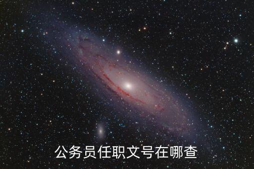 什么地方可以查任職文號，公務(wù)員任職文號在哪查