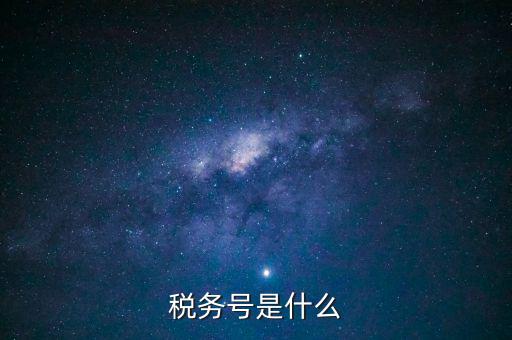 什么是稅務(wù)登記號(hào)，稅務(wù)號(hào)是什么