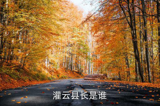 灌云國(guó)稅局局長(zhǎng)叫什么，國(guó)家稅務(wù)局局長(zhǎng)叫什么