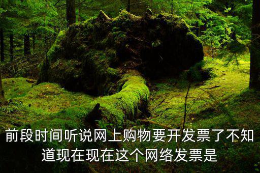 網(wǎng)絡(luò)發(fā)票是什么，在網(wǎng)上買東西電子發(fā)票與普通發(fā)票有區(qū)別嗎