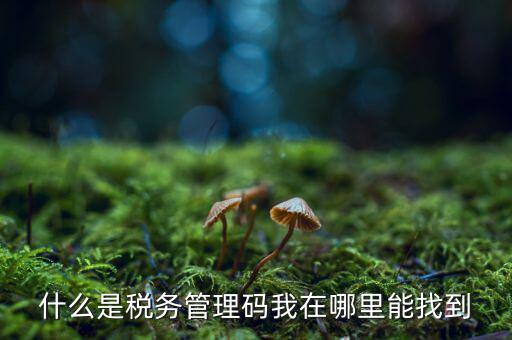 汽車保險稅務登記號是什么，稅務登記號查詢