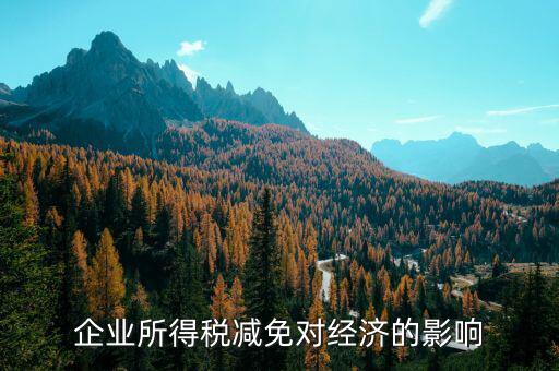 減稅免稅有什么弊端，減稅對個人和企業(yè)的不利影響
