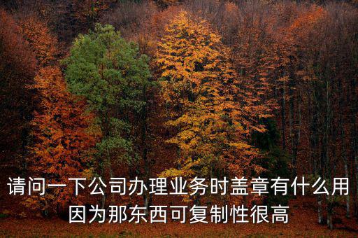 請問一下公司辦理業(yè)務(wù)時蓋章有什么用因?yàn)槟菛|西可復(fù)制性很高