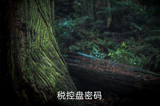 稅控盤證書密碼是什么意思，稅控盤上報匯總密碼是什么