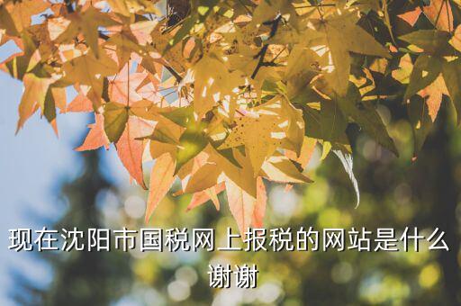 國稅交稅的網(wǎng)站是什么，現(xiàn)在沈陽市國稅網(wǎng)上報(bào)稅的網(wǎng)站是什么 謝謝