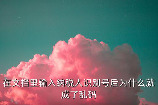 個(gè)稅導(dǎo)入模板為什么是亂碼，在文檔里輸入納稅人識(shí)別號(hào)后為什么就成了亂碼
