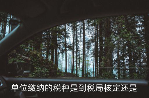 什么時候 稅種核定，單位繳納的稅種是到稅局核定還是