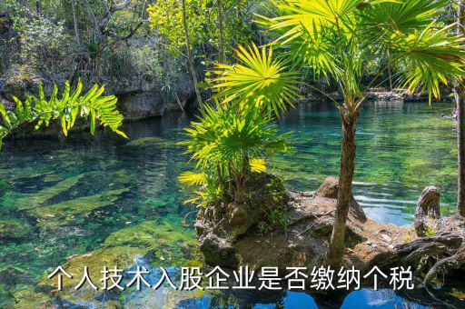 個人專利入股繳什么稅，請教稅法高手個人專利技術入股需繳稅嗎
