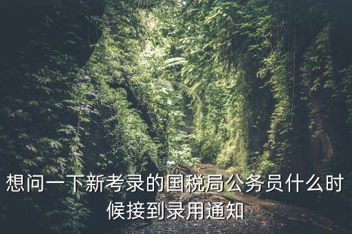 國稅錄取通知什么時候，今年國稅公務(wù)員正式錄用公告什么時候出