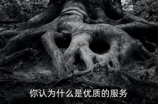 你認為什么是優(yōu)質的服務