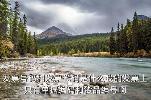 專票發(fā)票號是什么，發(fā)票號碼是指哪個號碼