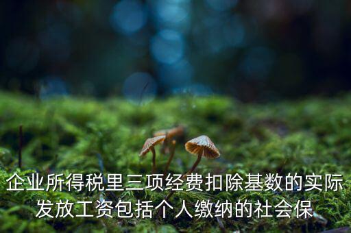 企業(yè)所得稅扣除基數(shù)指什么，企業(yè)所得稅里三項(xiàng)經(jīng)費(fèi)扣除基數(shù)的實(shí)際發(fā)放工資包括個(gè)人繳納的社會(huì)保