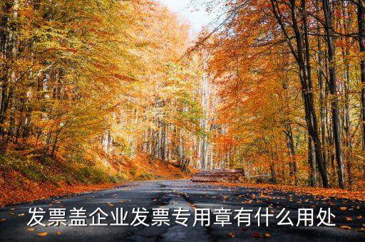 發(fā)票專(zhuān)用章有什么用，公司的發(fā)票專(zhuān)用章是干嘛用的