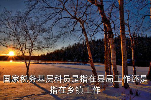 稅務系統(tǒng)的基層指什么，國家稅務基層科員是指在縣局工作還是指在鄉(xiāng)鎮(zhèn)工作