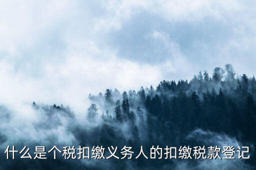 什么是個稅扣繳義務人的扣繳稅款登記