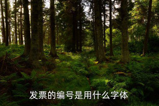 發(fā)票中公司字體是什么字體，發(fā)票的編號是用什么字體